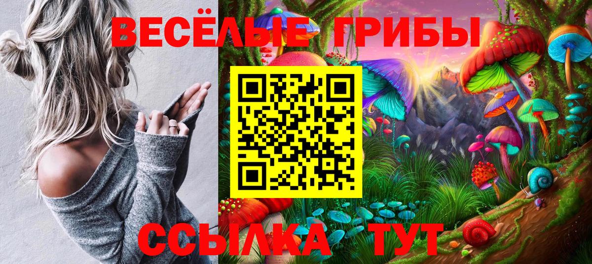 Орехово-Зуево  Галлюциногенные грибы Psilocybe  Вход с VPN  Галлюциногенные грибы мицелий 